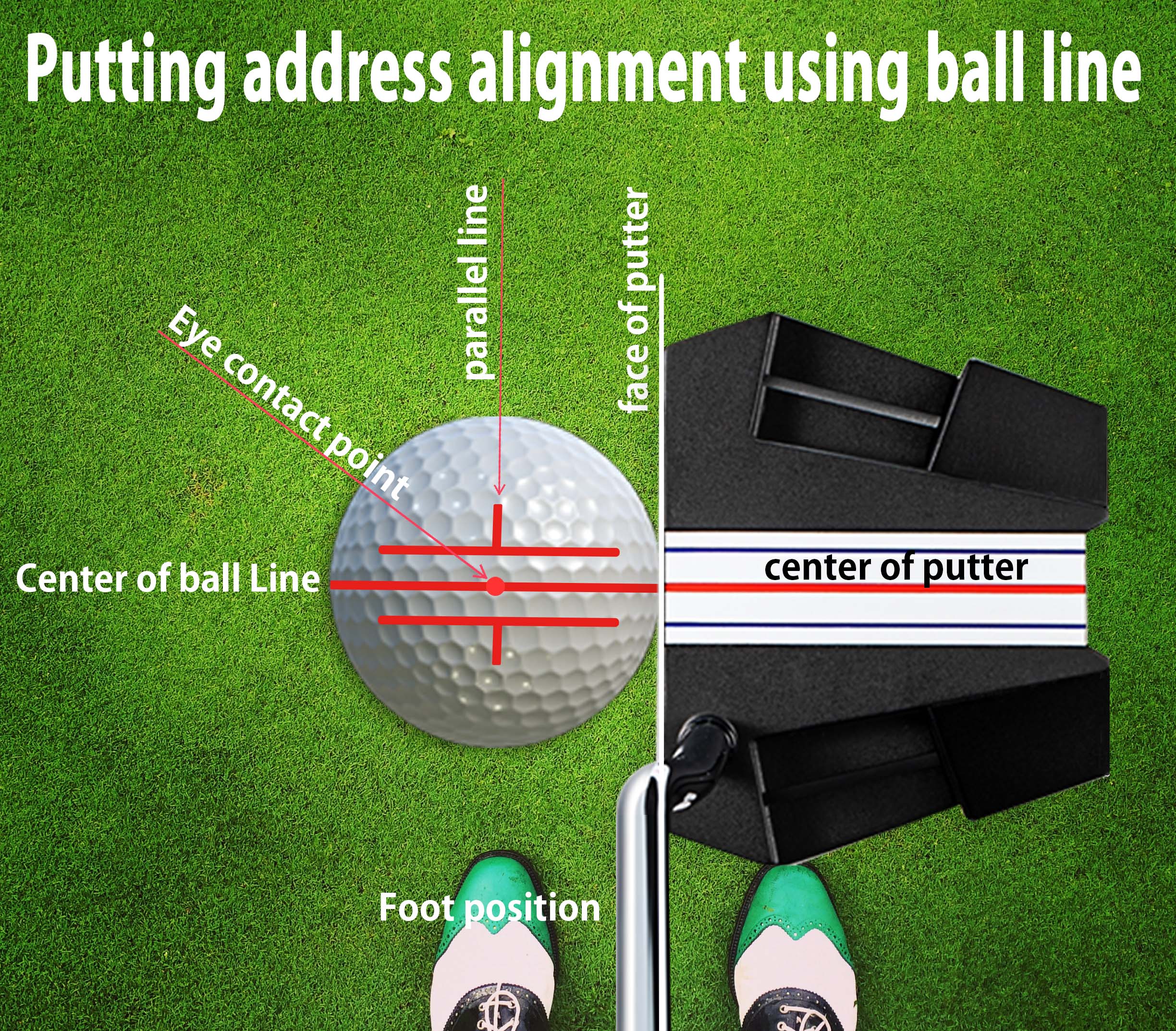 birdie liner